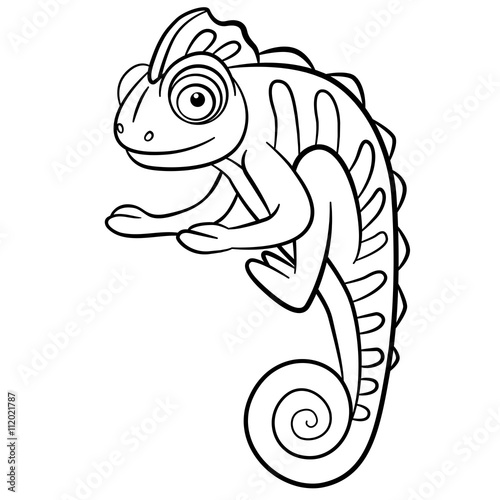 Coloring pages. Wild animals. Little cute chameleon.