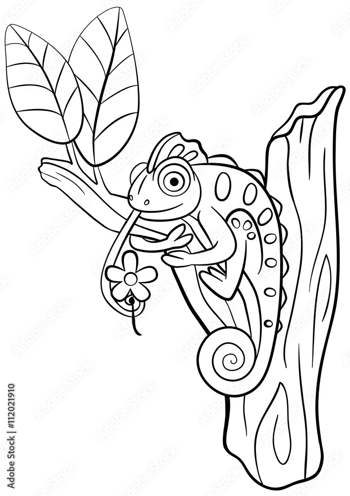 Obraz premium Coloring pages. Wild animals. Little cute chameleon sits on the tree branch.