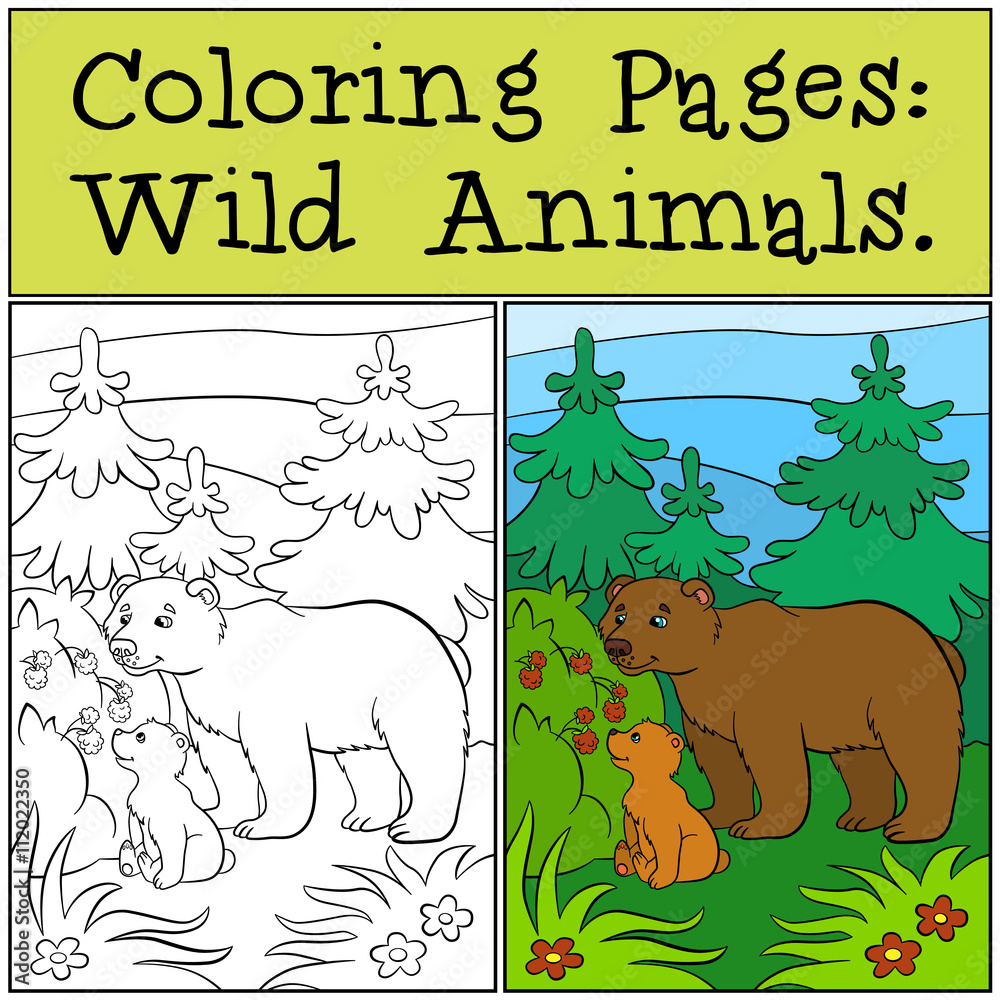 Naklejka premium Coloring Pages: Wild Animals. Daddy bear with his little cute baby bear look at the raspberry.
