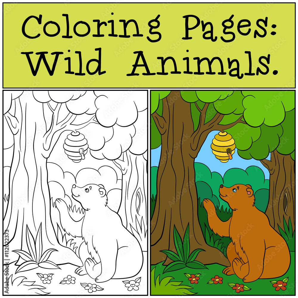 Naklejka premium Coloring Pages: Wild Animals. Cute bear looks at the beehive.