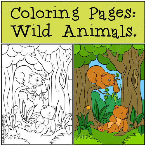 Photography Coloring Pages: Wild Animals. Two little cute baby bears.