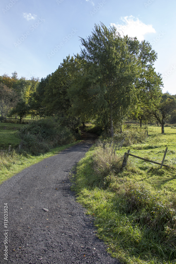 Obraz premium Feldweg