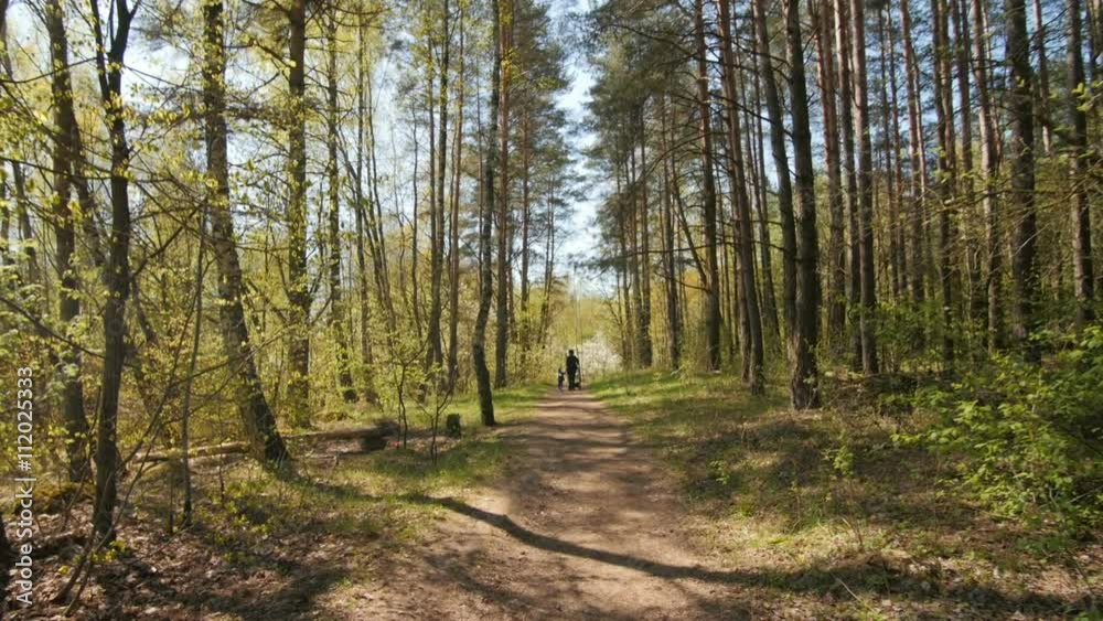 Mother goes along with his son in the forest. Mother goes along with his son in the forest.