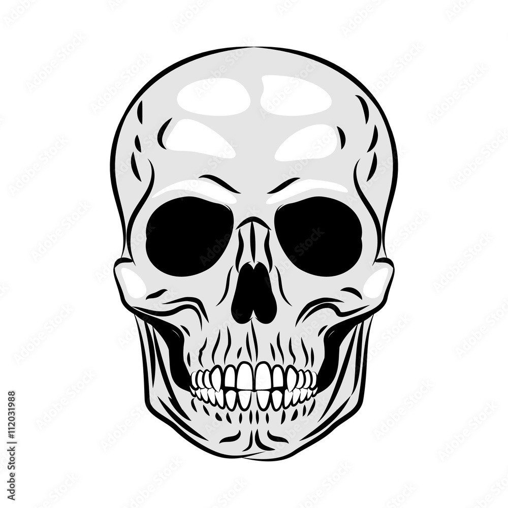 Human skull icon. Vector illustration.
