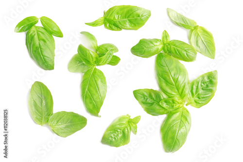 Fresh basil leaves on white background