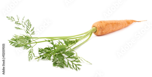 Carrot with the green top isolated over white background