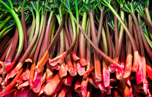 Fresh rhubarb stalks harvested and ready for sale at a farmers market. © Crin