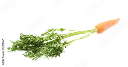 Carrot with the green top isolated over white background