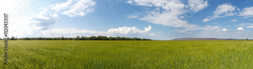 Photo panorama of fields on a sunny day.