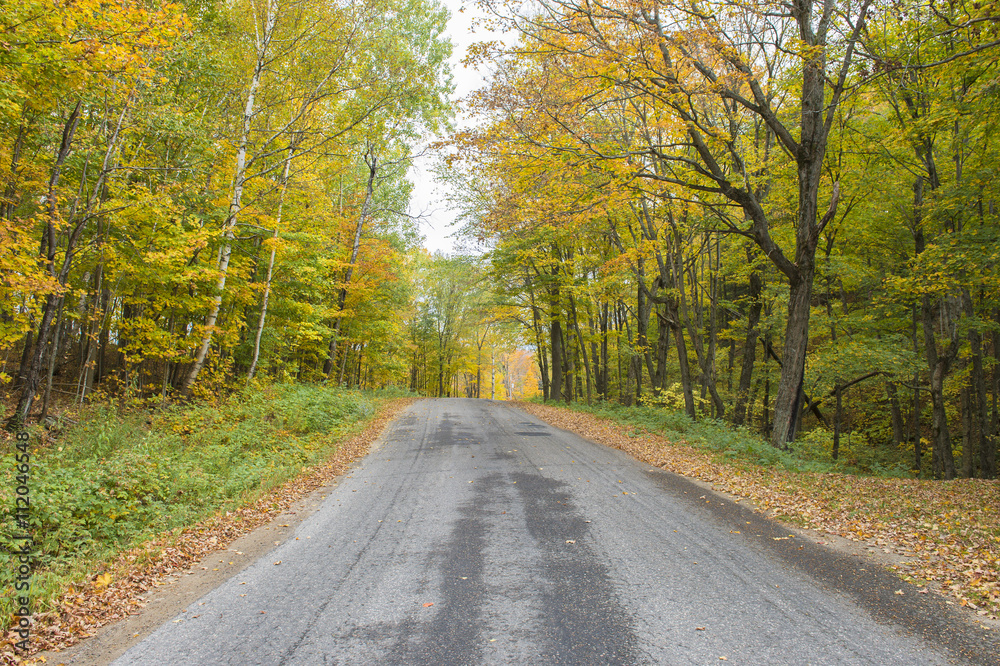 autumn landscape with road and beautiful colored trees