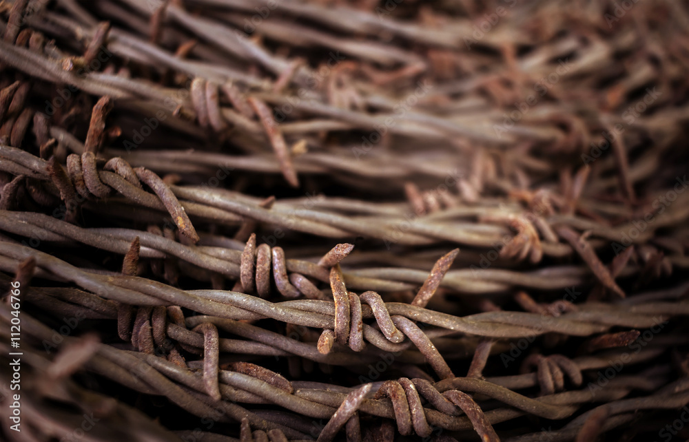 rusty barbed wire on blurred background. rusty barbed wire on blurred background.