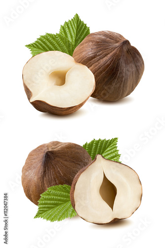 Hazelnut nut leaf set isolated on white background 7 as package design element