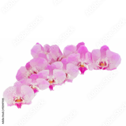 pile of pink orchid flowers