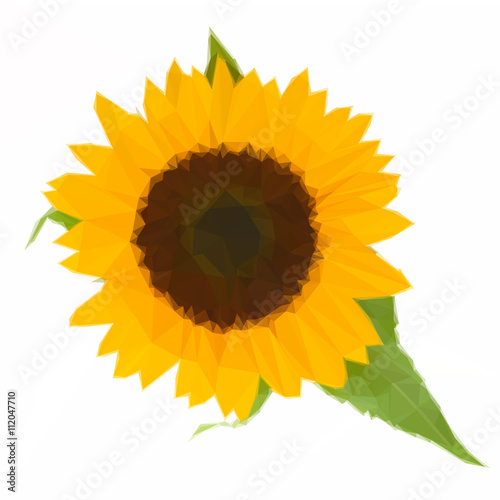 one bight sunflower