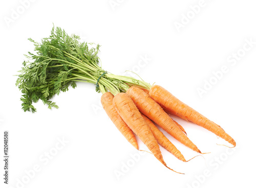 Bunch of carrot with the green top isolated over white background