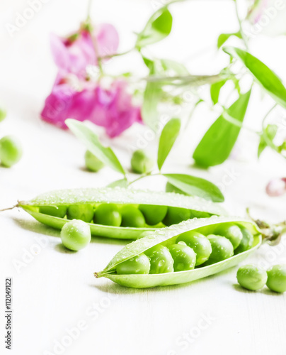 Green peas, twine vines and flowers on white wooden background,