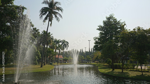 nature in chiang mai