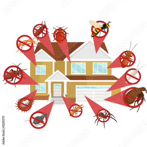 Pest control concept with insects exterminator silhouette flat vector illustration