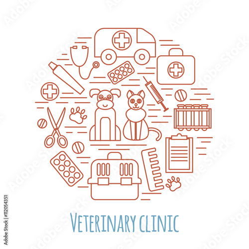 Veterinary pet health care animal medicine icons set isolated