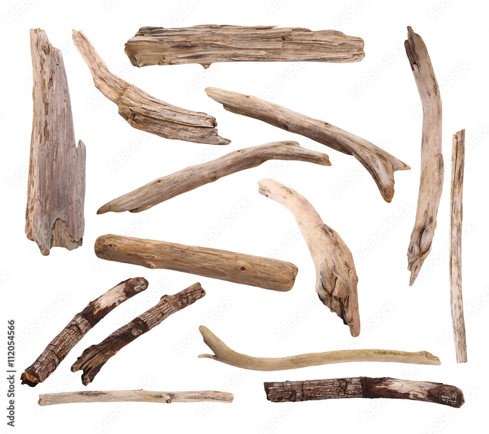 twigs, set macro dry branches isolated on white background, with clipping path, high resolution twigs, set macro dry branches isolated on white background, with clipping path, high resolution