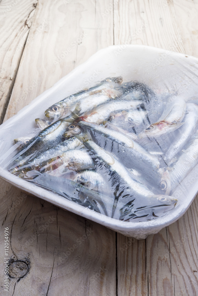 Fresh raw sardines in a white polystyrene food box isolated on w Fresh raw sardines in a white polystyrene food box isolated on w