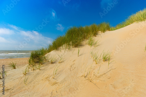 Dunes at Belgian north sea coast against cirrus and stratus clouds and reed grass, near De Haan, Belgium
