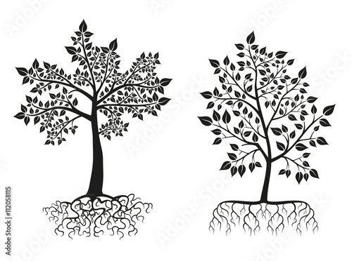 Black trees and roots silhouettes with leaves. Vector set