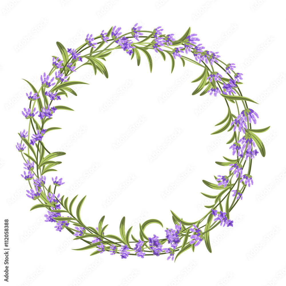Lavender wreath. Vector illustration for decorations