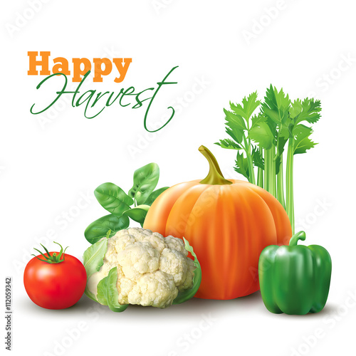 Group of vegetables on white. Vector illustration. 