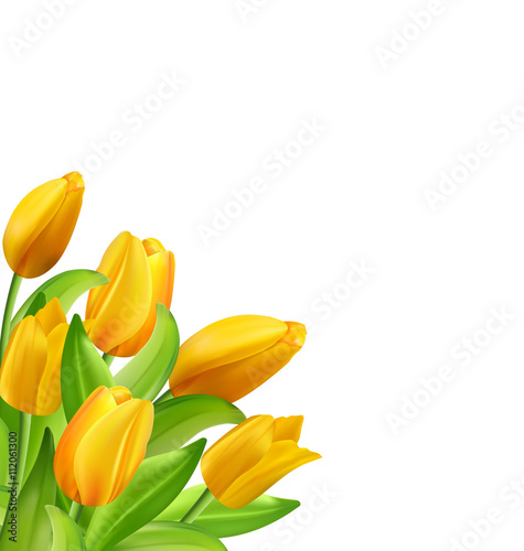 Natural Bouquet with Yellow Tulips Flowers Isolated 