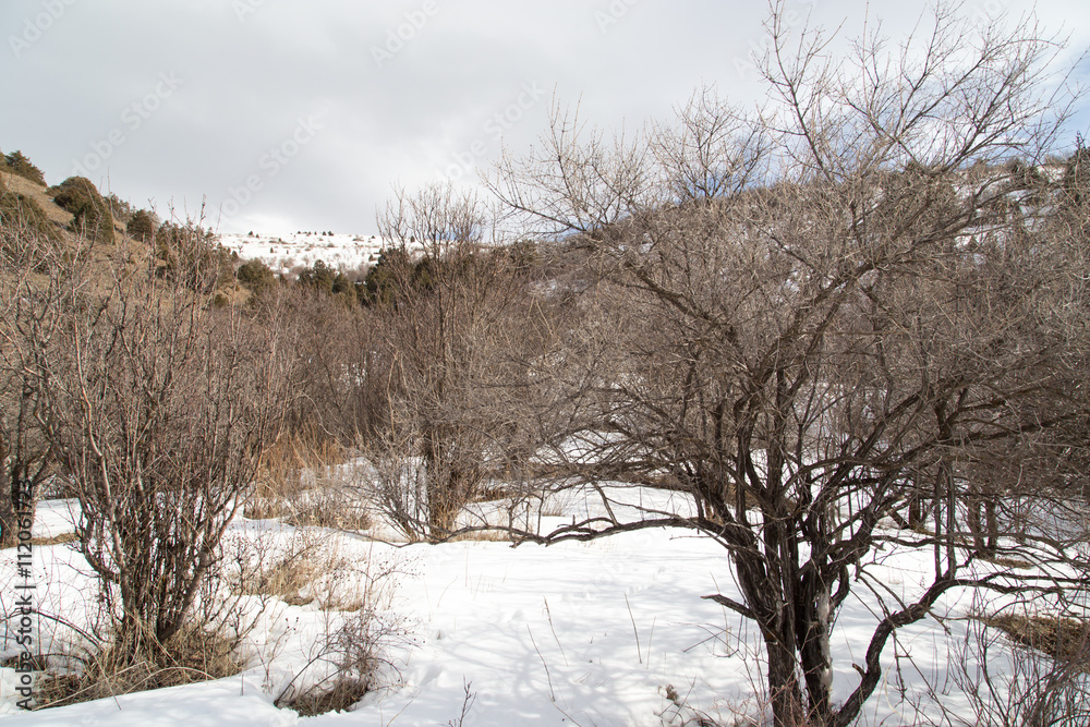 Nature in the Tien Shan mountains in winter. Kazakhstan Nature in the Tien Shan mountains in winter. Kazakhstan
