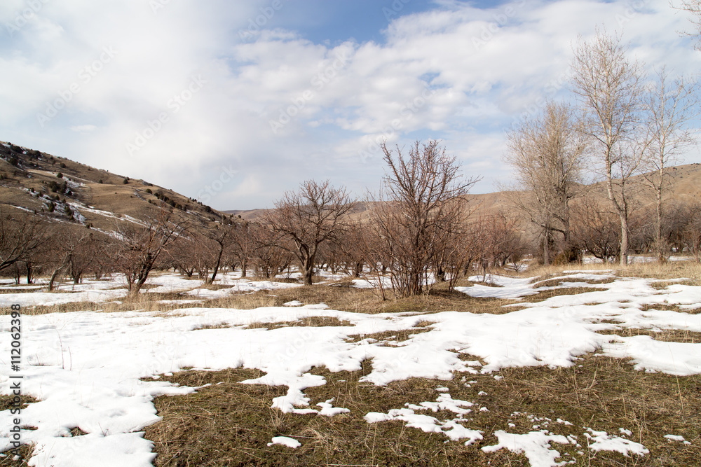 Nature in the Tien Shan mountains in winter. Kazakhstan Nature in the Tien Shan mountains in winter. Kazakhstan