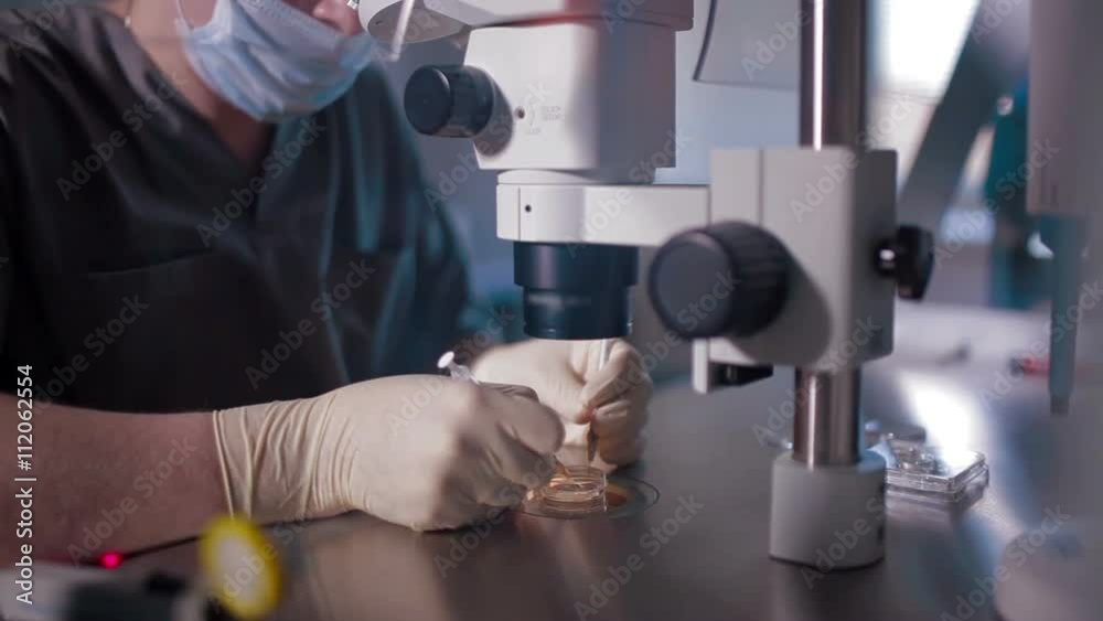 Medical research in the laboratory insemination