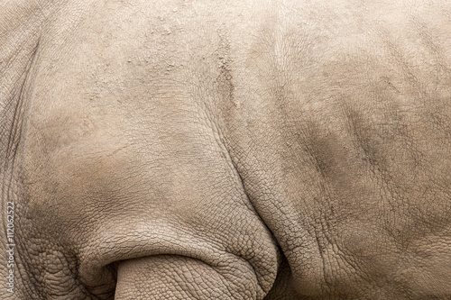 rhino skin as background