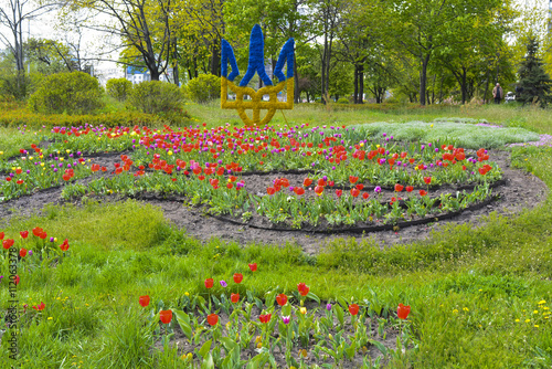 весенние цветы тюльпаны расцвели в городском парке
