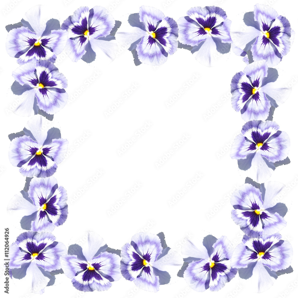 Delicate floral pattern. Pansies 