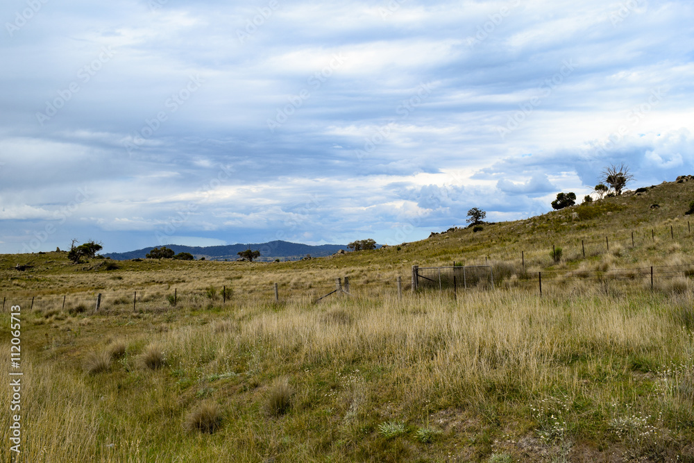 Rural landscape - paddock in foreground with mountains in the distance and an overcast, blue sky