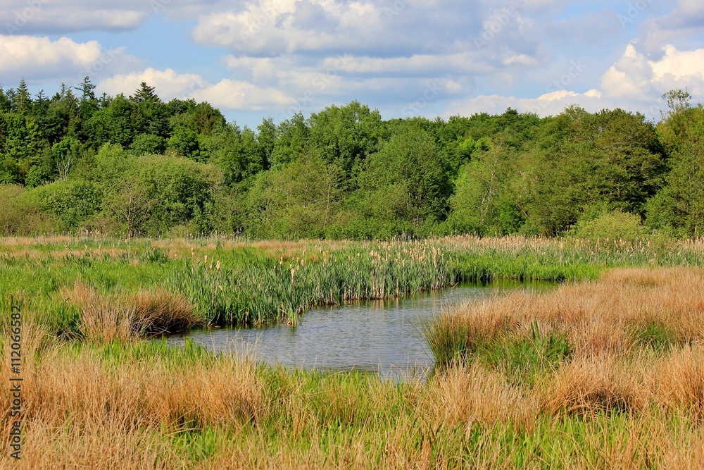Beautiful panoramic view of small lake surrounded by wetland
Beautiful panoramic view of small lake surrounded by wetland