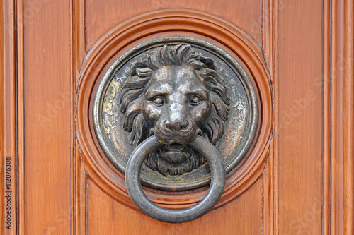 Door knocker lion