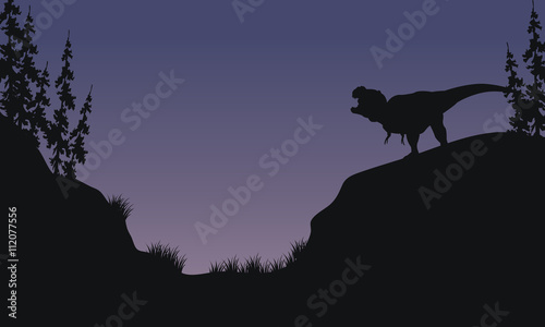 Tyranosaurus in hills scnery silhouette photo