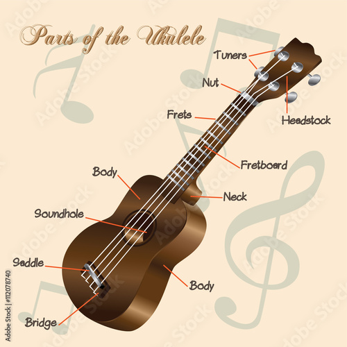 Parts of the Ukulele