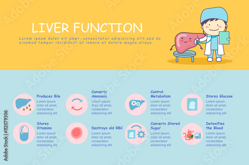 infographic of liver