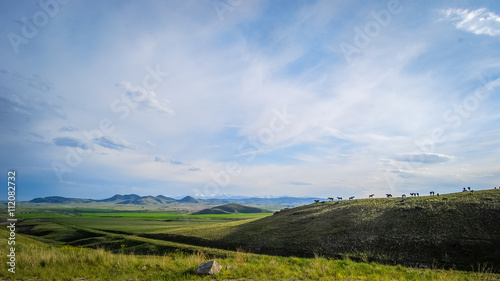Schilderij op canvas The rolling hillside of Montana