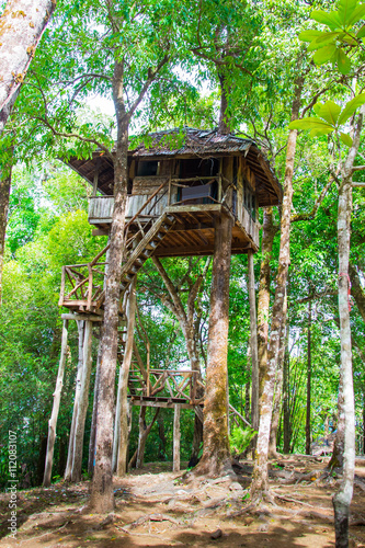 Beautiful creative handmade tree house photo