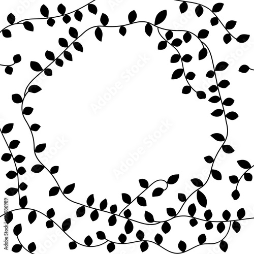 Black and white vine leaves...