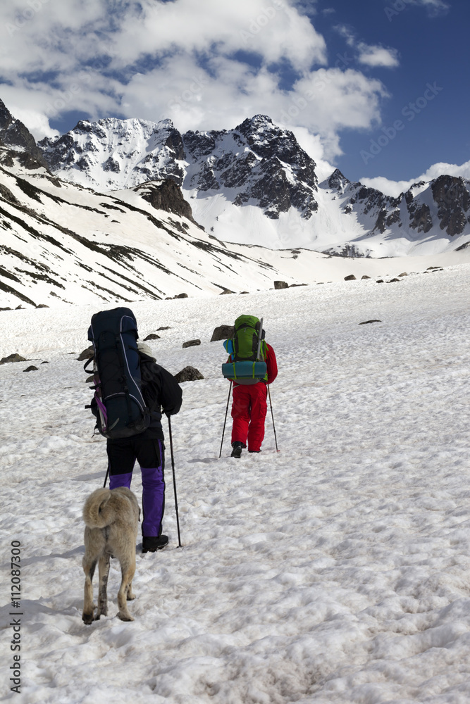 Dog and two hikers in snowy mountains