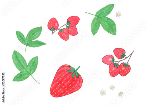 Fototapeta Naklejka Na Ścianę i Meble -  Watercolor strawberry set