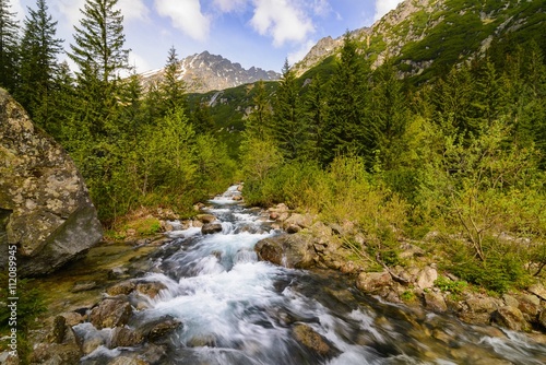 Mountain stream in the Polish mountains