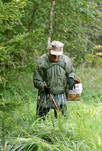 hiking in the forest for mushrooms