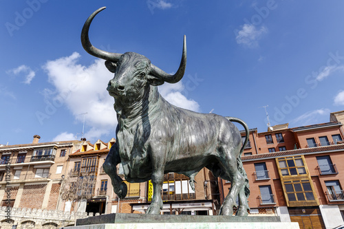 Monument to Toro de la Vega, Tordesillas photo